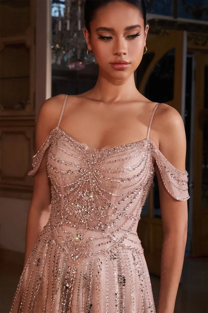 EMBELLISHED A-LINE TULLE GOWN CDCB147